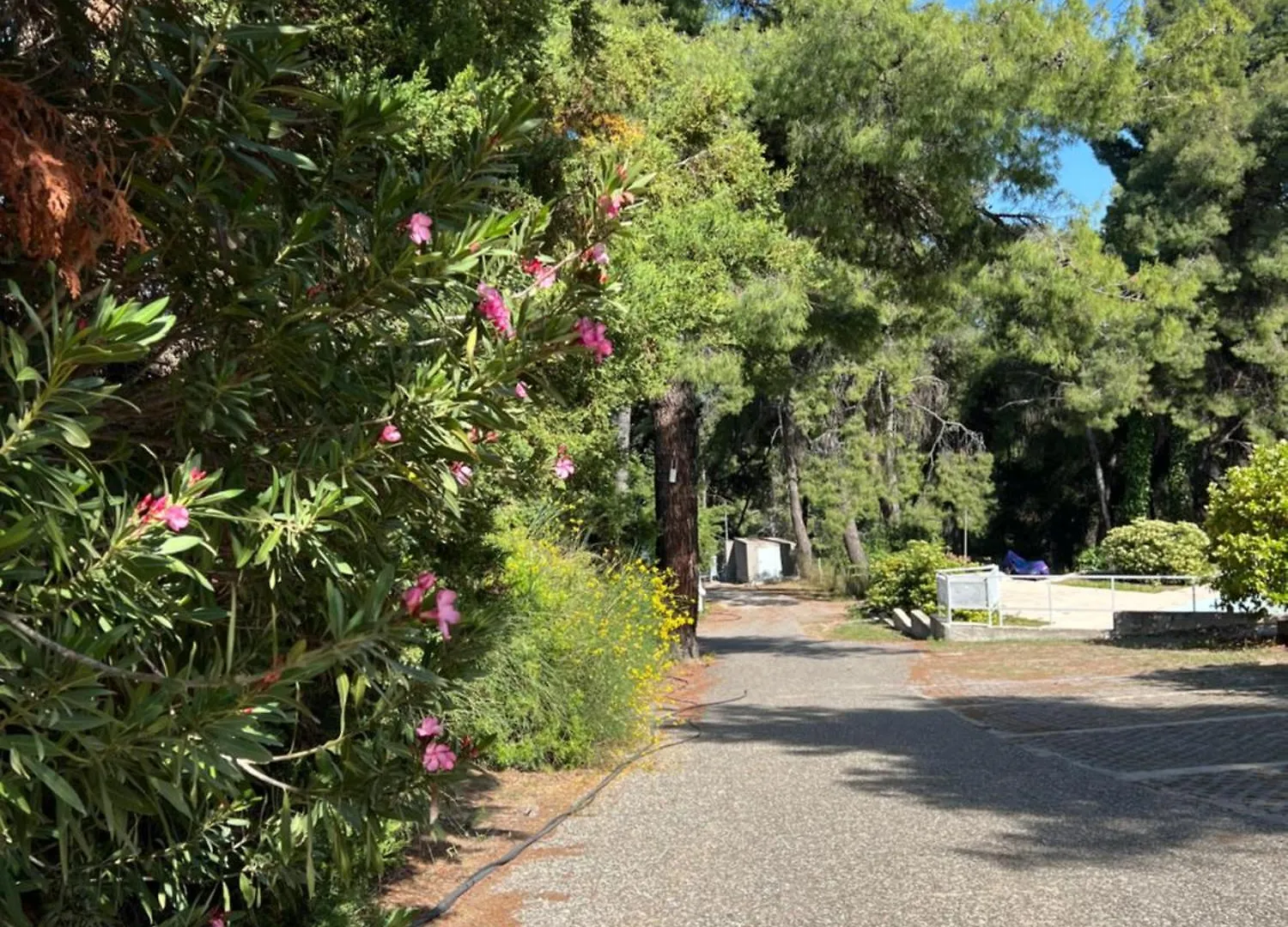 Pejic Guest House Paliouri 0*,  Griechenland