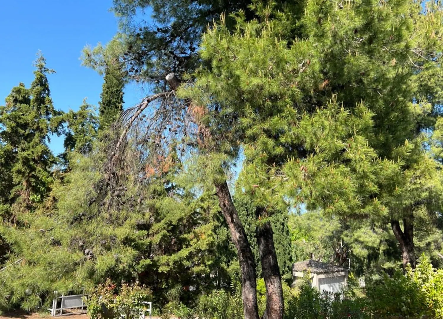 Pejic Guest House Paliouri